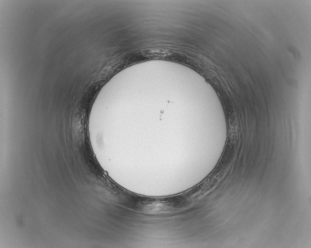 X0000115050460200911161551