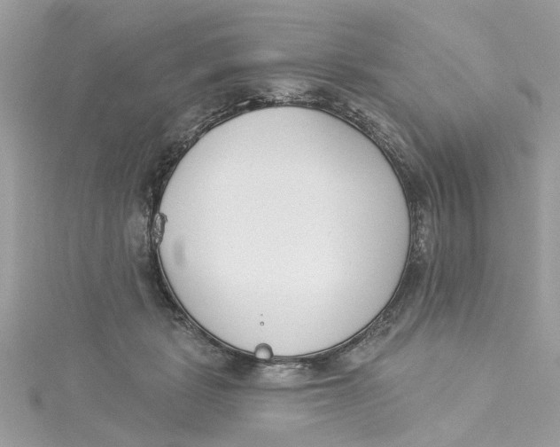 X0000115050461200911161551