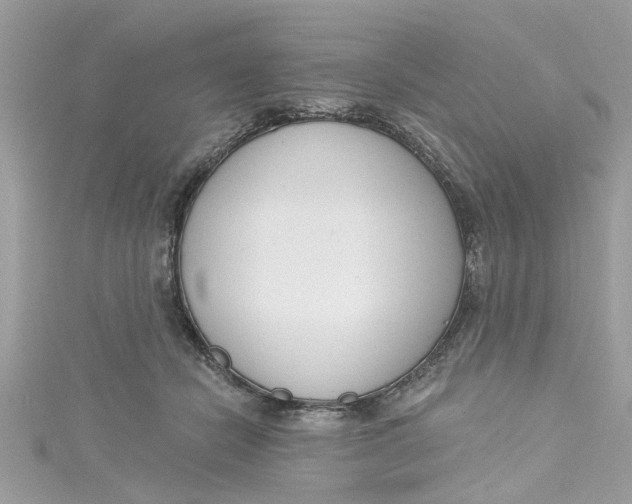 X0000115050462200911161551