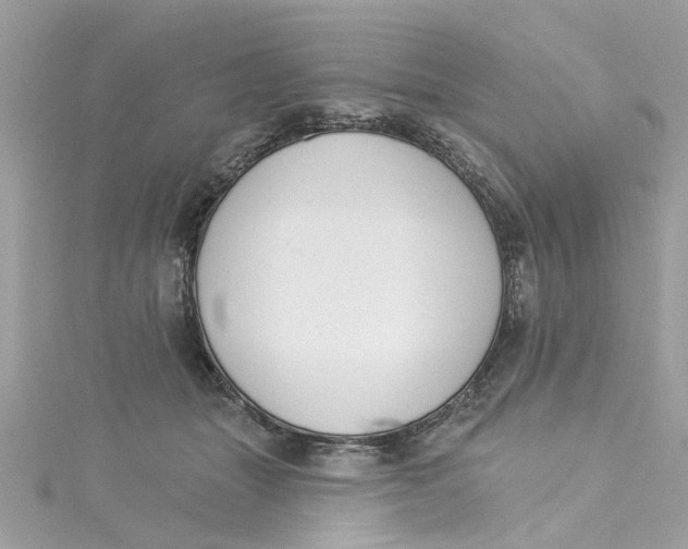 X0000115050463200911161551