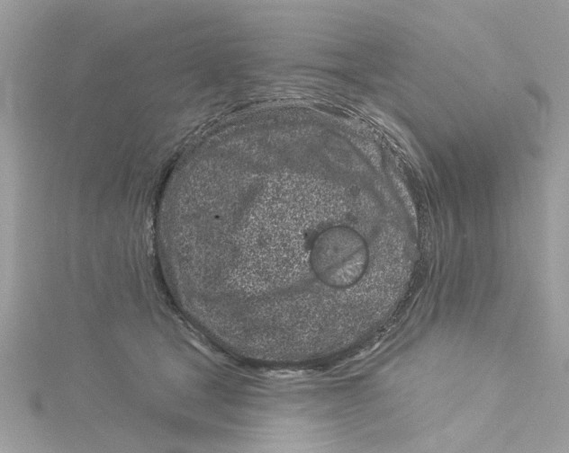 X0000115050465200911161551