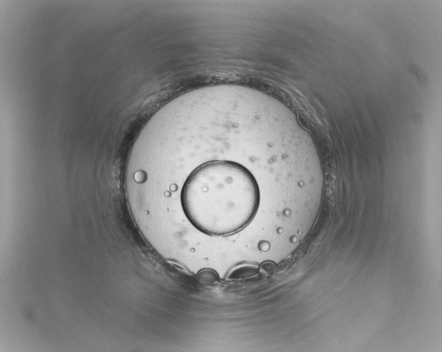 X0000115050466200911161551