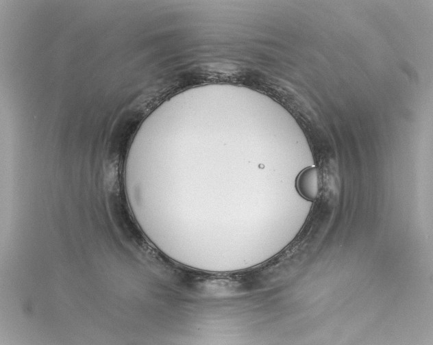 X0000115050468200911161551