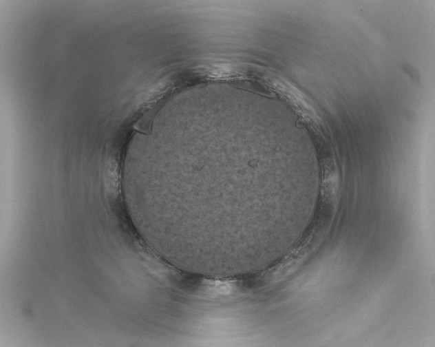 X0000115050469200911161551