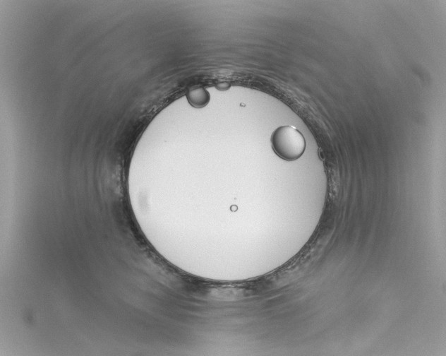 X0000115050470200911161551