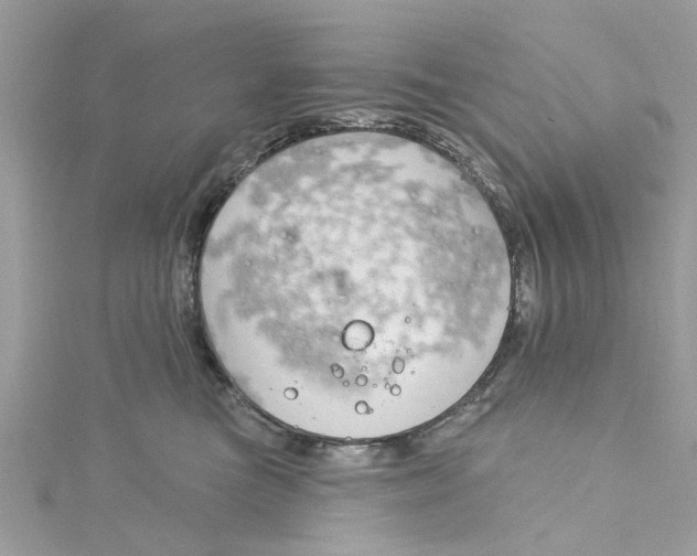 X0000115050473200911161551