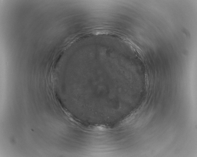 X0000115050475200911161551