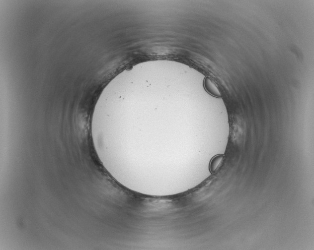 X0000115050476200911161551