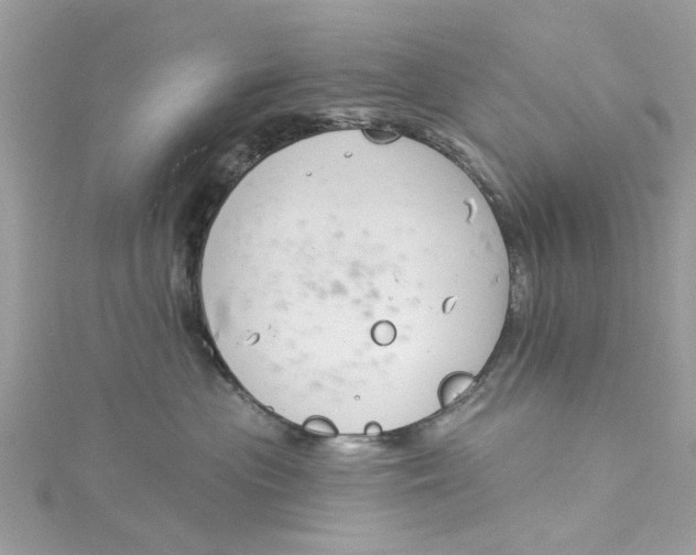 X0000115050477200911161551