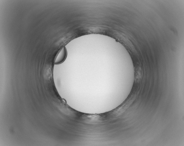 X0000115050478200911161551