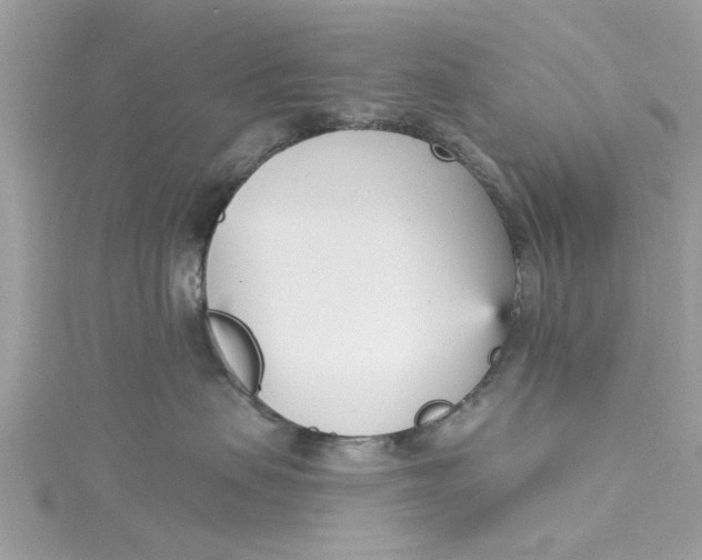 X0000115050479200911161551