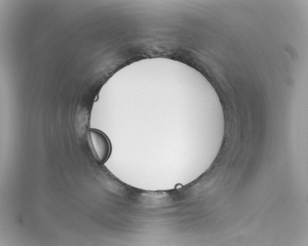 X0000115050480200911161551