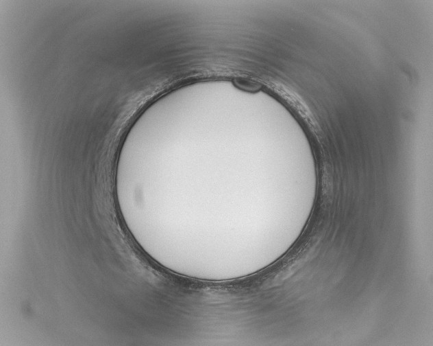 X0000115050481200911161551