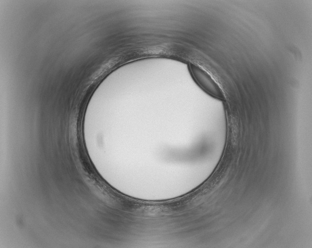 X0000115050482200911161551