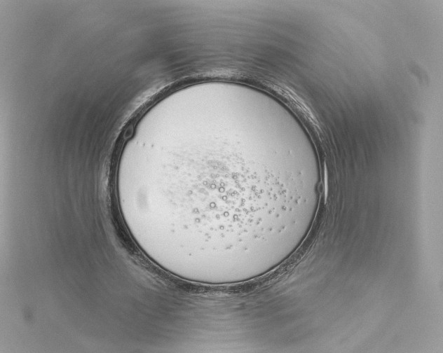 X0000115050483200911161551