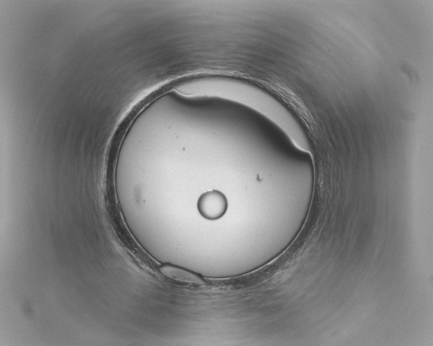 X0000115050484200911161551