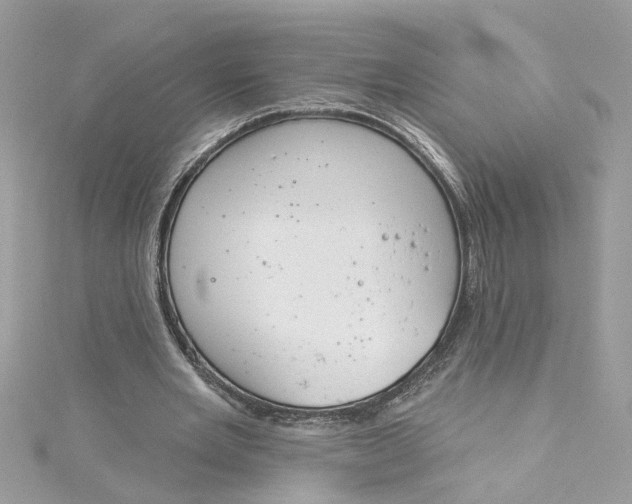 X0000115050485200911161551