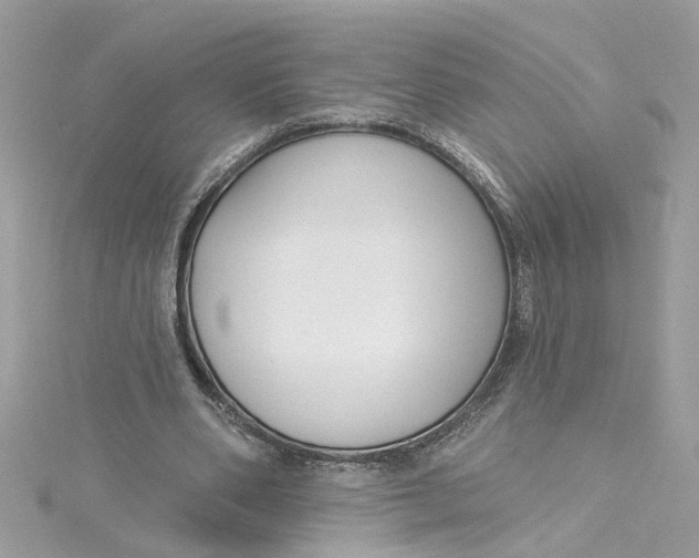 X0000115050486200911161551