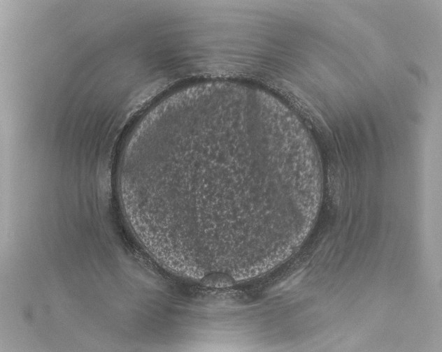 X0000115050488200911161551