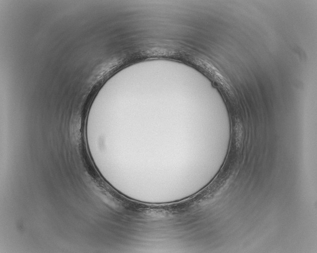 X0000115050490200911161551