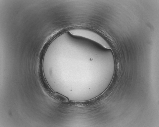 X0000115050492200911161551