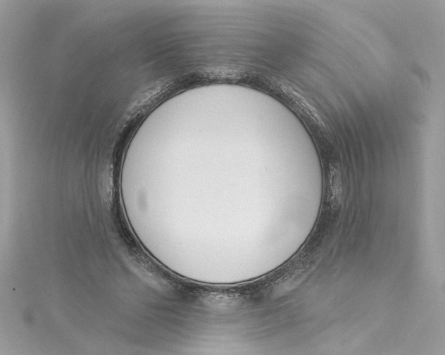 X0000115050494200911161551