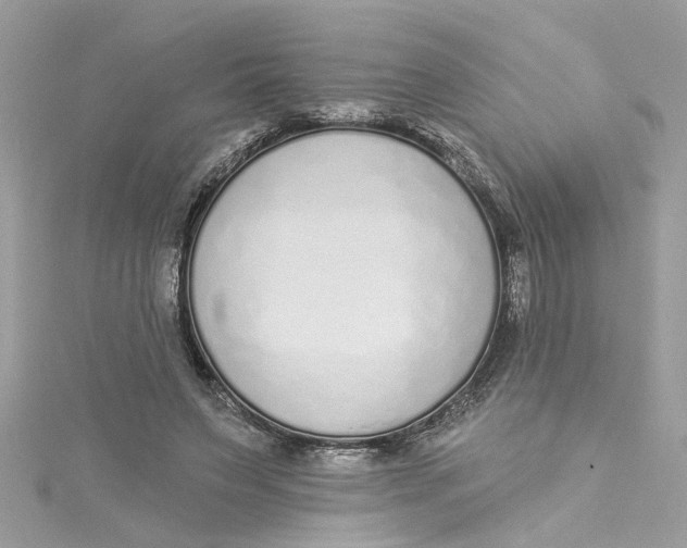 X0000115050495200911161551