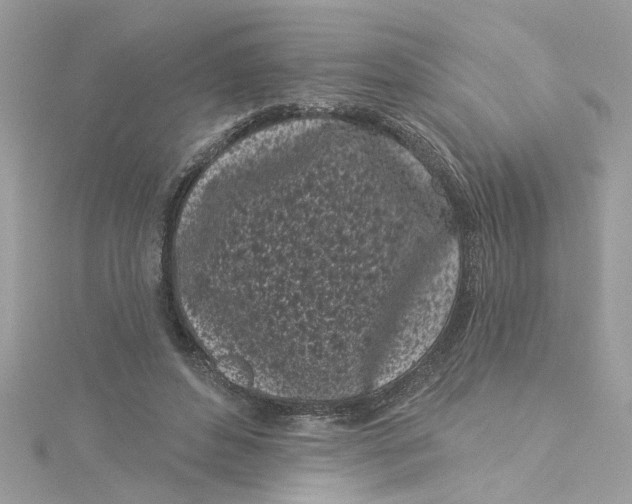 X0000115050496200911161550