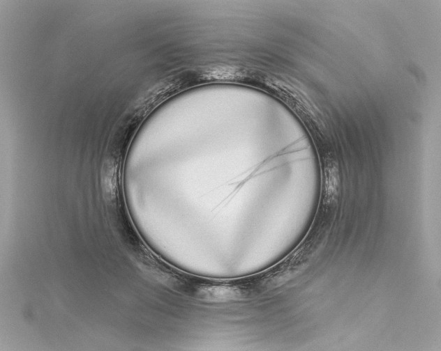 X0000115050503200911161550