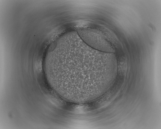 X0000115050504200911161550