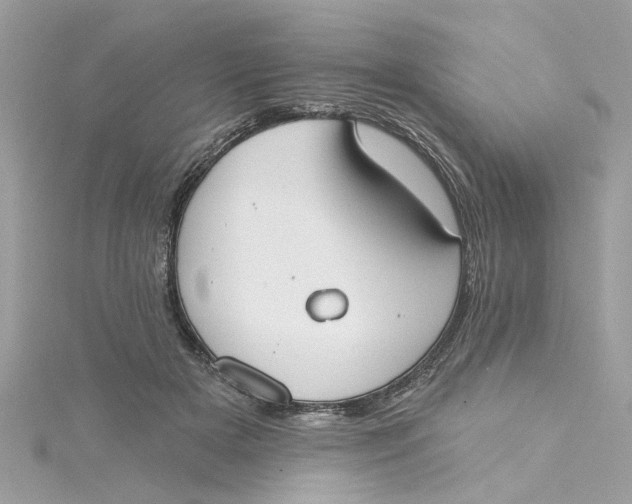 X0000115050505200911161550