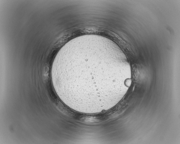 X0000115050507200911161550