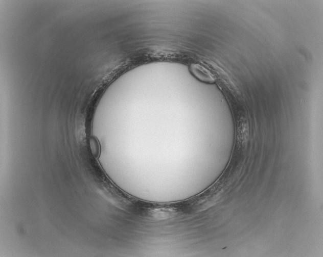 X0000115050508200911161550