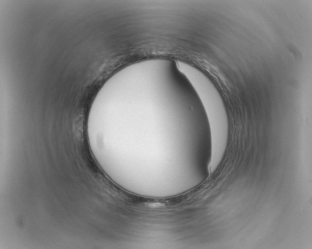 X0000115050509200911161550