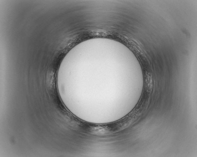 X0000115050511200911161550