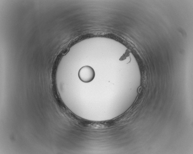 X0000115050512200911161550