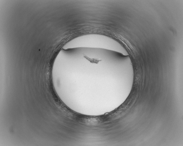 X0000115050513200911161550