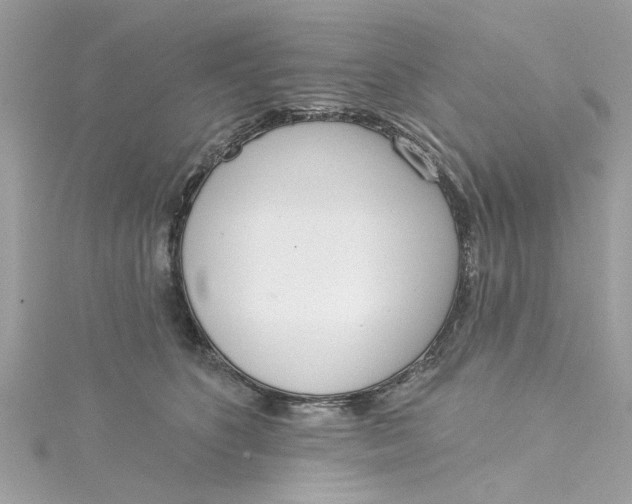 X0000115050516200911161550