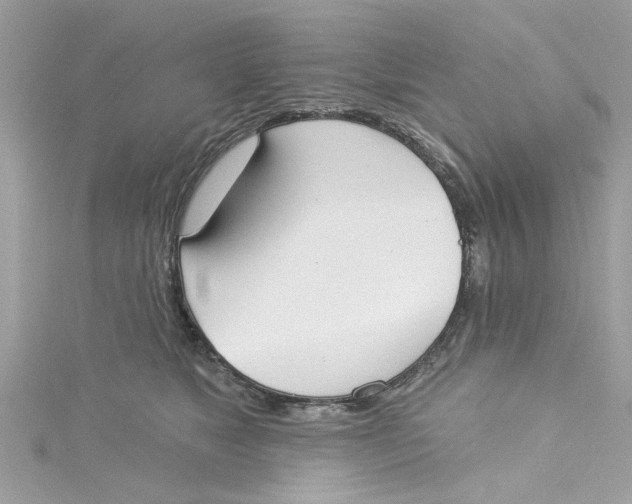 X0000115050517200911161550