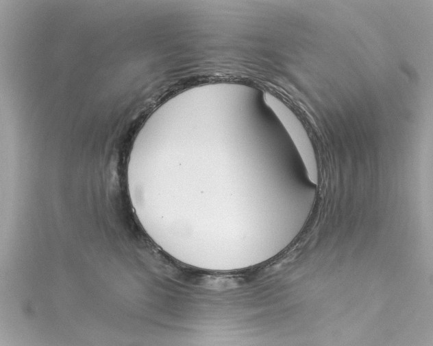 X0000115050520200911161550