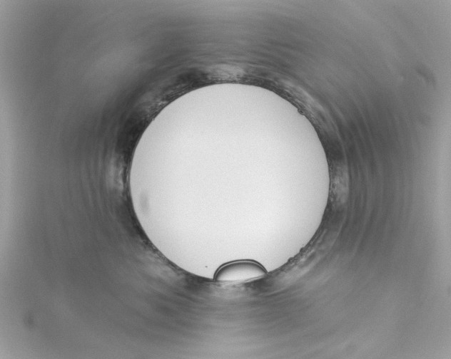 X0000115050525200911161550