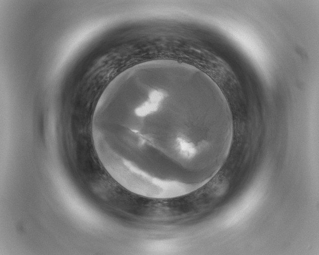 X0000115050526200911161550