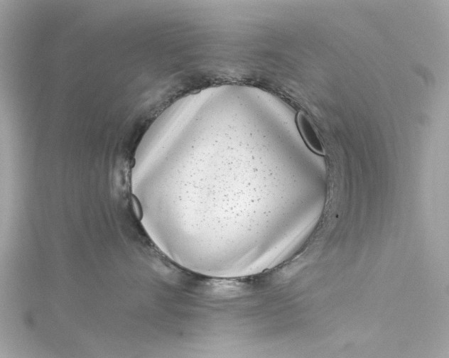 X0000115050528200911161550