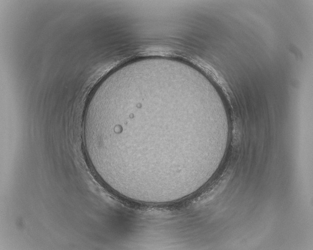 X0000115050529200911161549