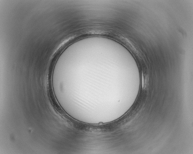 X0000115050531200911161550