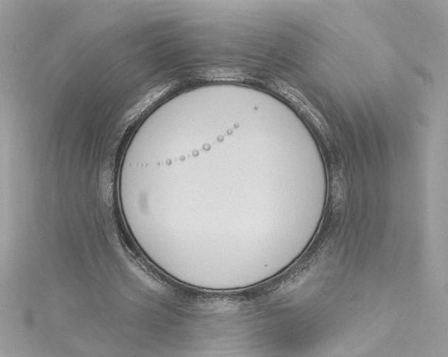 X0000115050533200911161550