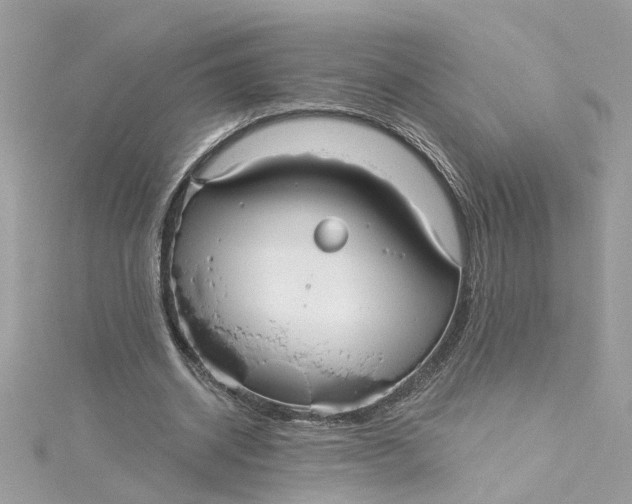 X0000115050534200911161550