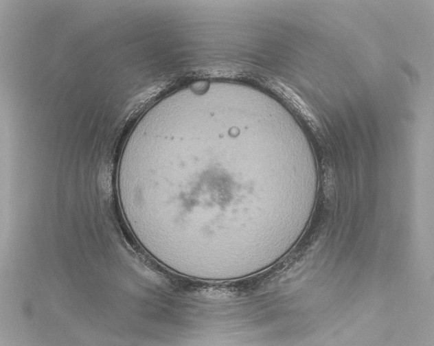 X0000115050537200911161550