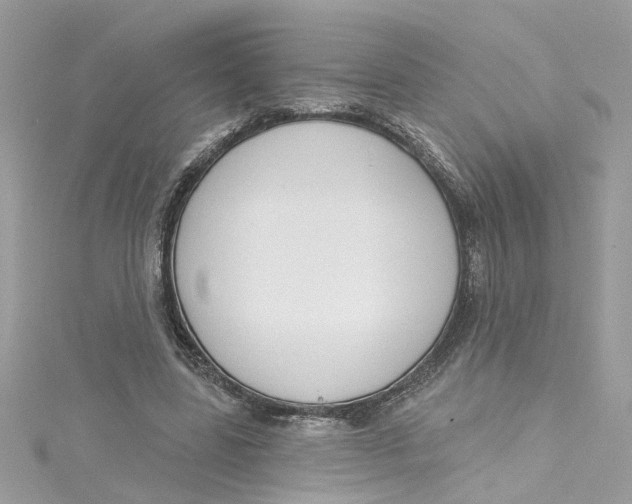 X0000115050539200911161550