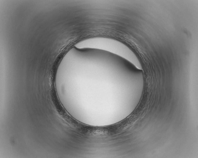 X0000115050546200911161550